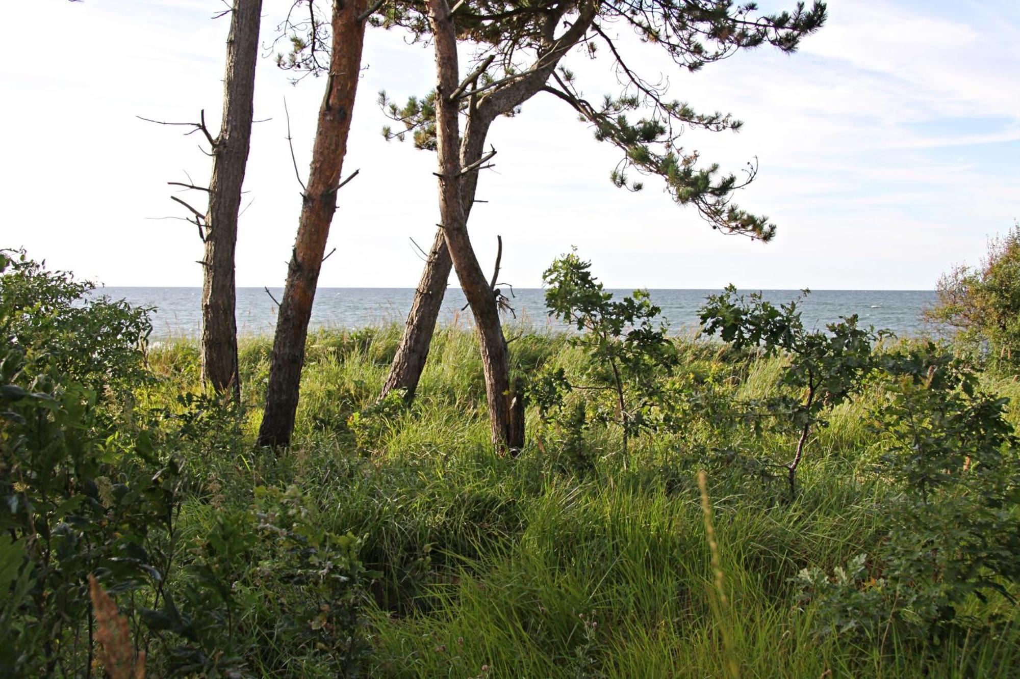 Let'S Sea - 2 Bedroom - Premium Baltic Apartment With Front Sea View Garden And Spa Access Gąski Eksteriør bilde