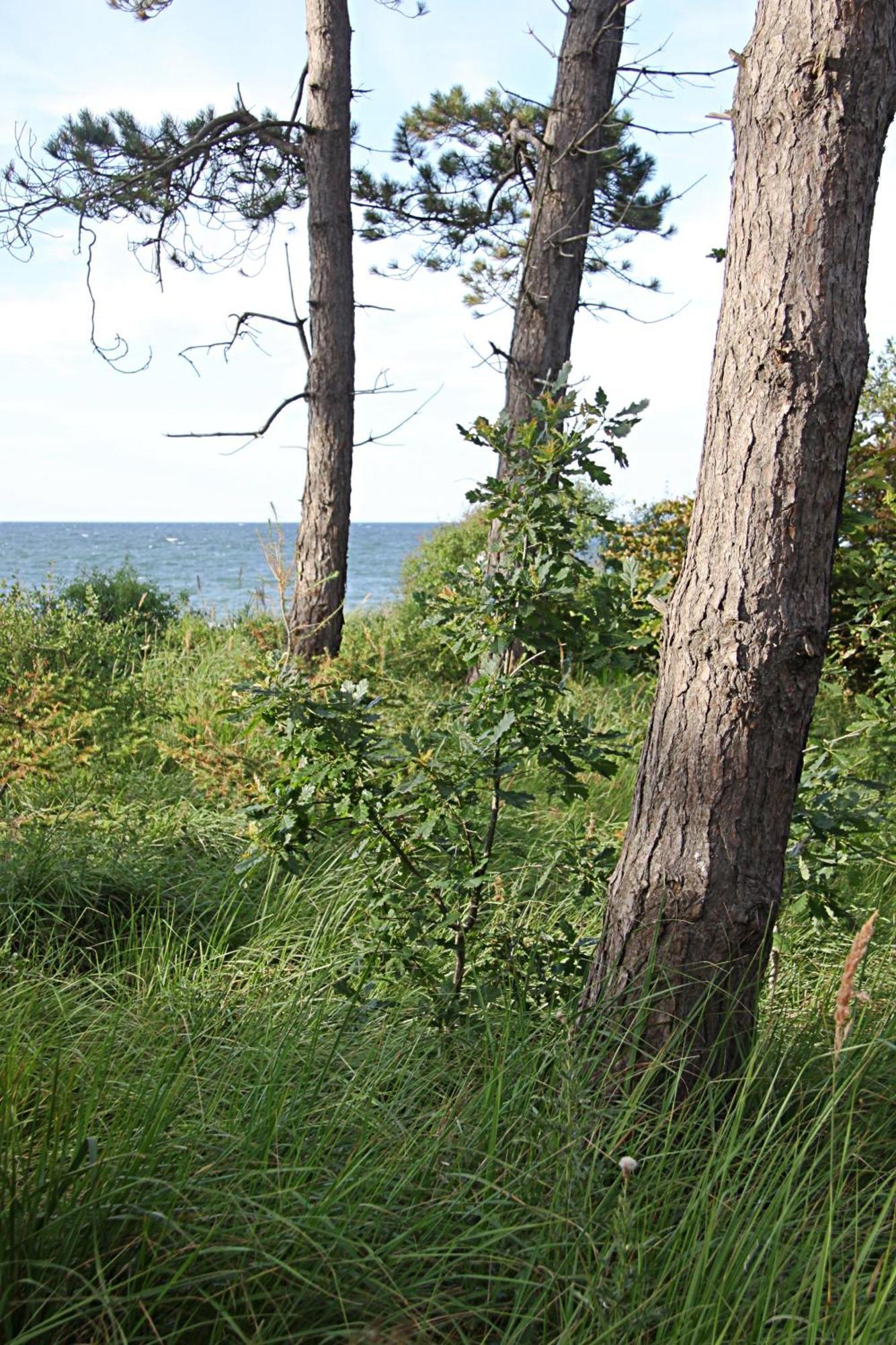 Let'S Sea - 2 Bedroom - Premium Baltic Apartment With Front Sea View Garden And Spa Access Gąski Eksteriør bilde